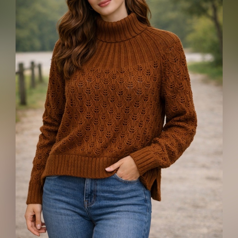 Madewell Merino Wool Alpaca Turtleneck Sweater M Rust Knit